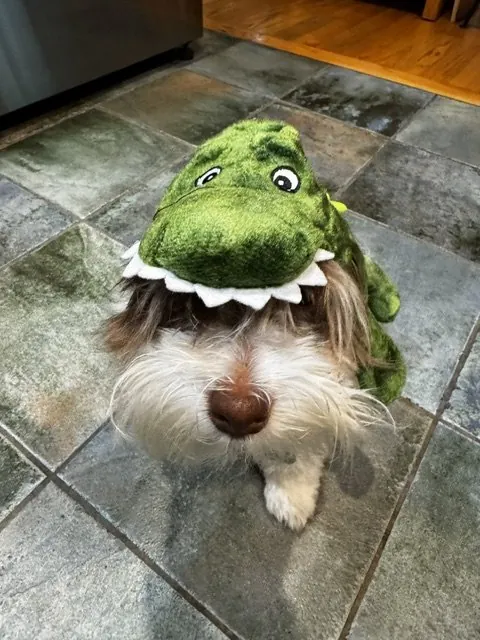 Dress-up day