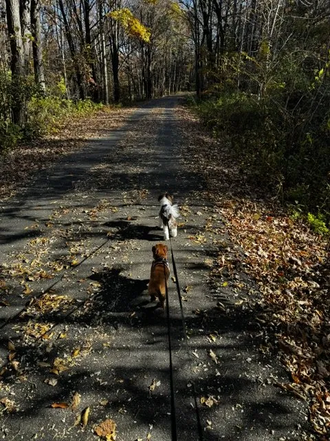 Single file!