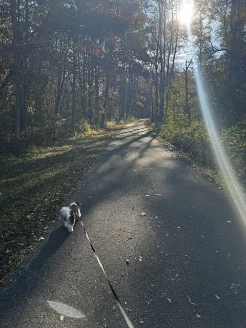 Bike path adventure
